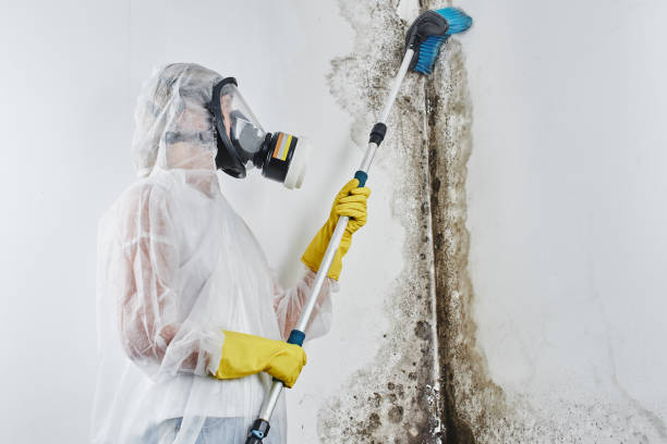 Professional Water damage restoration in West Point, KY